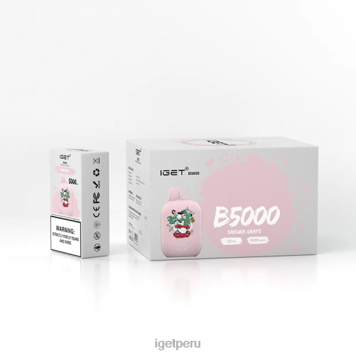 IGET b5000 JNZBV317 uva sakura